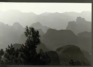 Pine Tree Prints: Mountainous Range in China