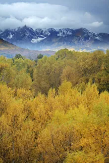 Images Dated 29th September 2016: Mountains and forest in autumn, San Juan Mountains, Colorado, USA