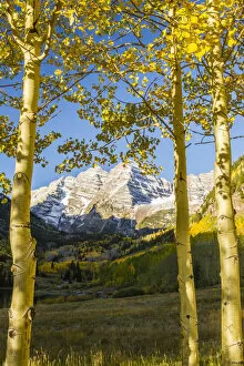 Images Dated 25th September 2017: Mountains framed by autumn aspens, Maroon Bells, Colorado, USA