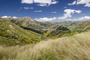 Images Dated 13th December 2011: Mountains and grasslands, Craigieburn Range, Porters Pass, Canterbury Region, South Island