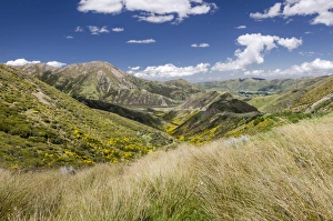 Mountains and grasslands, Craigieburn Range, Porters Pass, Canterbury Region, South Island, New Zealand Mountains and grasslands, Craigieburn Range, Porters Pass, Canterbury Region, South Island, New Zealand