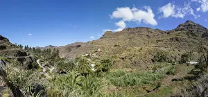 Palmaceae Gallery: Mountains surrounding El Pie de la Cuesta, Mogan region, Gran Canaria, Canary Islands, Spain