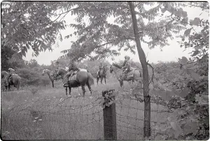 Ann Arbor Prints: Mounted Police Search Clearing for Clues