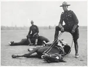 Mounties with Their Horses