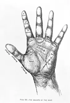 Good Luck Prints: The Mounts Of The Hand/Palmistry/Drawing