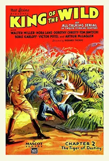 Jungle Prints: Movie Poster For King Of The Wild, Chapter 2