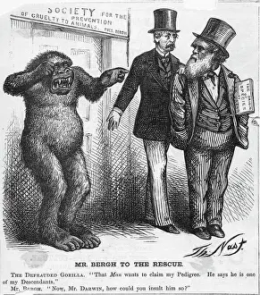 Mr. Bergh to the Rescue Cartoon by Thomas Nast