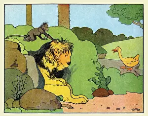 Duck Prints: Mr. Lion's Hair Cut