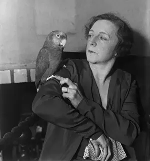 Parrot Prints: Mrs. Doak and Polly