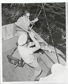 Hamilton Prints: Mrs. Stafford Sands Pulling in a Fish