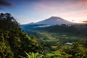 Images Dated 31st August 2019: Mt Agung volcano and rice terraces at dawn, Bali