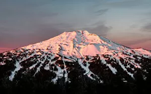 Pink Collection: Mt Bachelor mountain peak at sunrise, Deschutes National Forest, Oregon, USA