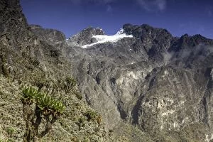 Images Dated 10th June 2012: Mt. Stanley, Rwenzori Mountains, Uganda