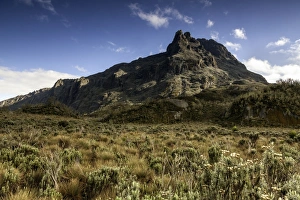 Images Dated 9th June 2012: Mt. Stanley, Rwenzori Mountains, Uganda