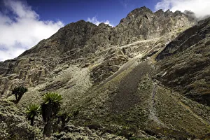 Images Dated 9th June 2012: Mt. Stanley, Rwenzori Mountains, Uganda