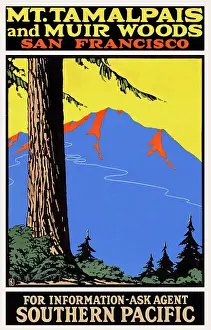 Woods Prints: Mt. Tamalpais and Muir Woods, San Francisco