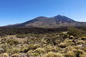 Images Dated 3rd June 2012: Mt Teide volcano in the Teide National Park, UNESCO World Heritage Site, El Jaral, Tenerife