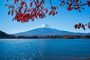 Images Dated 10th November 2012: Mt.Fuji with autumn leaves