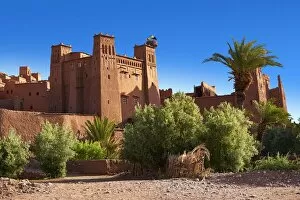 Vegetation Gallery: Mud buildings of the fortified Berber Ksar of Ait Benhaddou, Sous-Massa-Dra, Morocco
