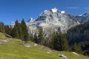 Pinnacle Collection: Muerren hiking area, view of Mt Jungfrau, Bernese Oberland, Switzerland, Europe