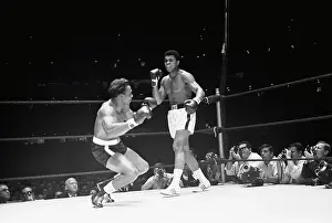 Muhammad Ali Standing Over Cleveland Williams