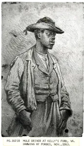Slave Prints: Mule Driver At Kelly'S Ford