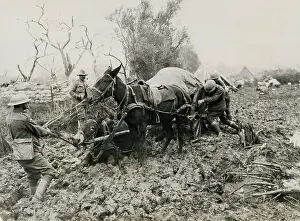 Difficult Prints: Mule Team Sinking