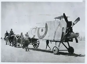 Mule Prints: Mule Team Transporting Military Plane