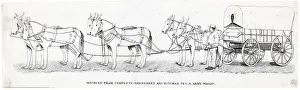 Mule Prints: Mules Hitched To Army Wagon
