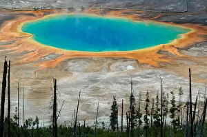 The multi-colored Grand Prismatic spring in Yellowstone National Park as seen from above