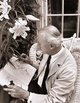 Multi Talented Cecil Beaton Working on Drawing Near Flowers