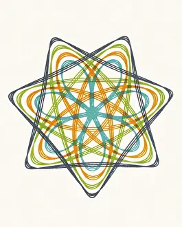 1940 1980 Retro Styled Image Prints: Multicolor Flower Shape Line Drawing