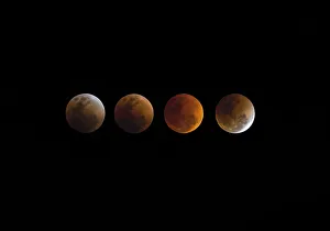 Sequences Collection: Multiple exposures of the total lunar eclipse on 31st January 2018, Bangkok, Thailand