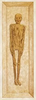 Images Dated 13th February 2007: Mummified pharaoh encased in coffin