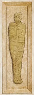 Mummified pharaoh encased in coffin