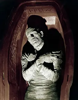 Mummy Prints: The Mummy