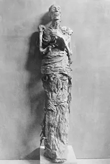 Ramesses Ii Prints: Mummy of Rameses II