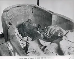 Ramesses Ii Prints: Mummy of Ramses II King of 19th Dynasty of Egypt