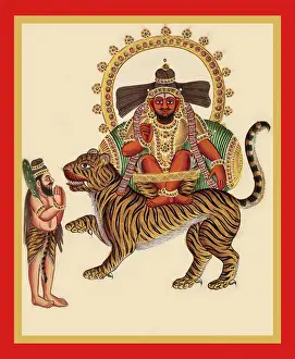 Feathers Prints: Munisvaram on the back of a tiger in utkutikasana