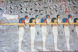 Fresco Wall Paintings Collection: Mural paintings in tomb of Ramses I