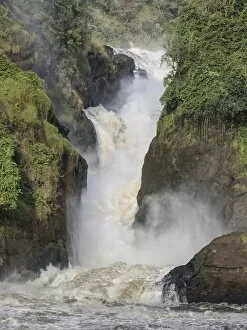 Images Dated 16th November 2014: Murchinson Falls, Murchinson Falls National Park, Uganda