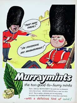 Murraymints