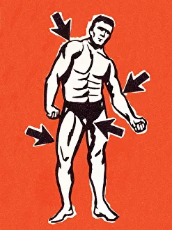 Images Dated 11th November 2010: Muscle man