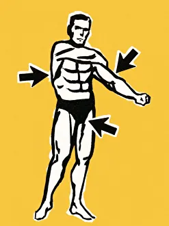 Images Dated 20th March 2015: Muscle man