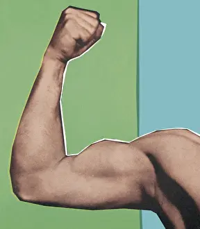 Macho Prints: Muscular Arm