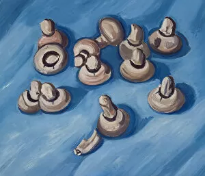 Images Dated 5th May 2014: Mushrooms on a Blue Background 1929