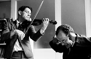 Violin Prints: Music Lover
