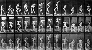 Sequences Collection: Muybridge Photograph