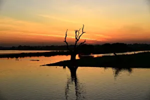 Images Dated 2nd February 2016: Myanmar landscape with reflection sky sunset