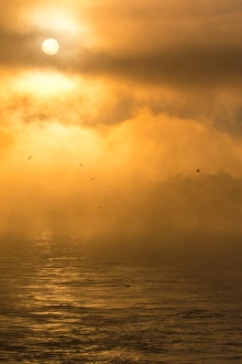 Images Dated 31st October 2015: Mysterious sunrise